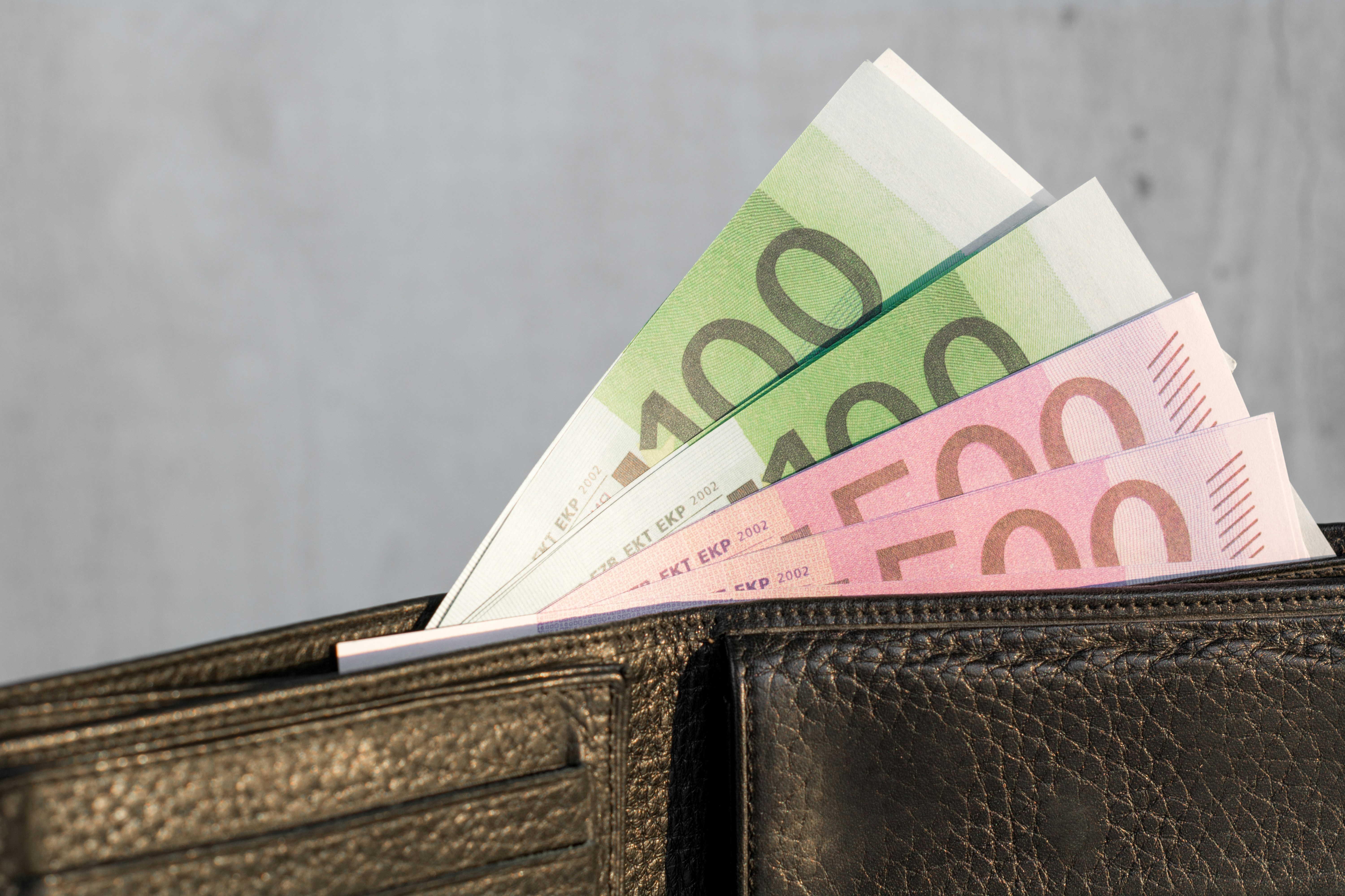 Wallet Euro